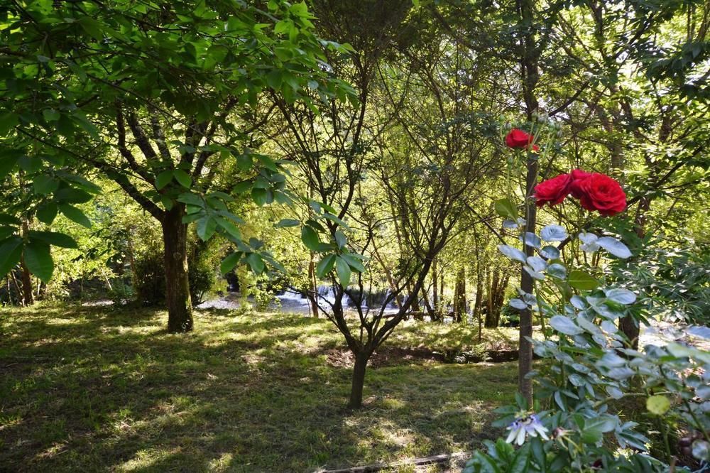 Гостевой дом Casa Da Quinta Do Rei Понте-де-Лима Экстерьер фото